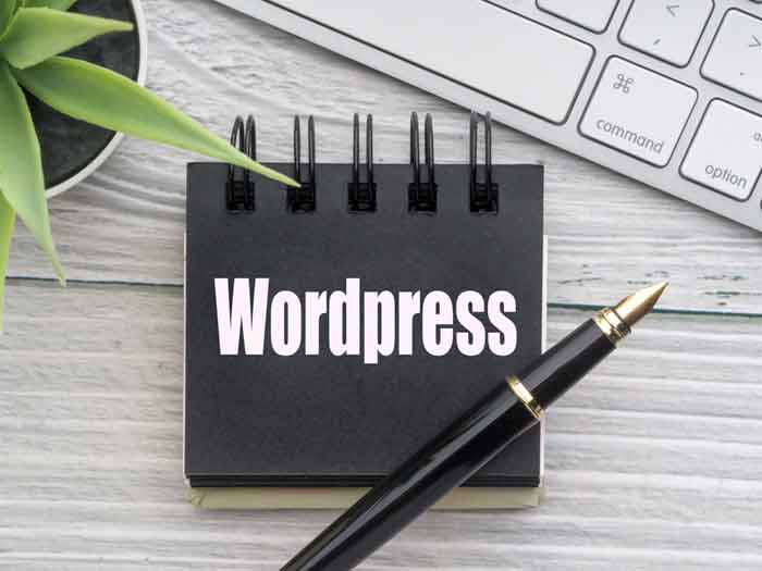 WordPress-Bellevue-WA